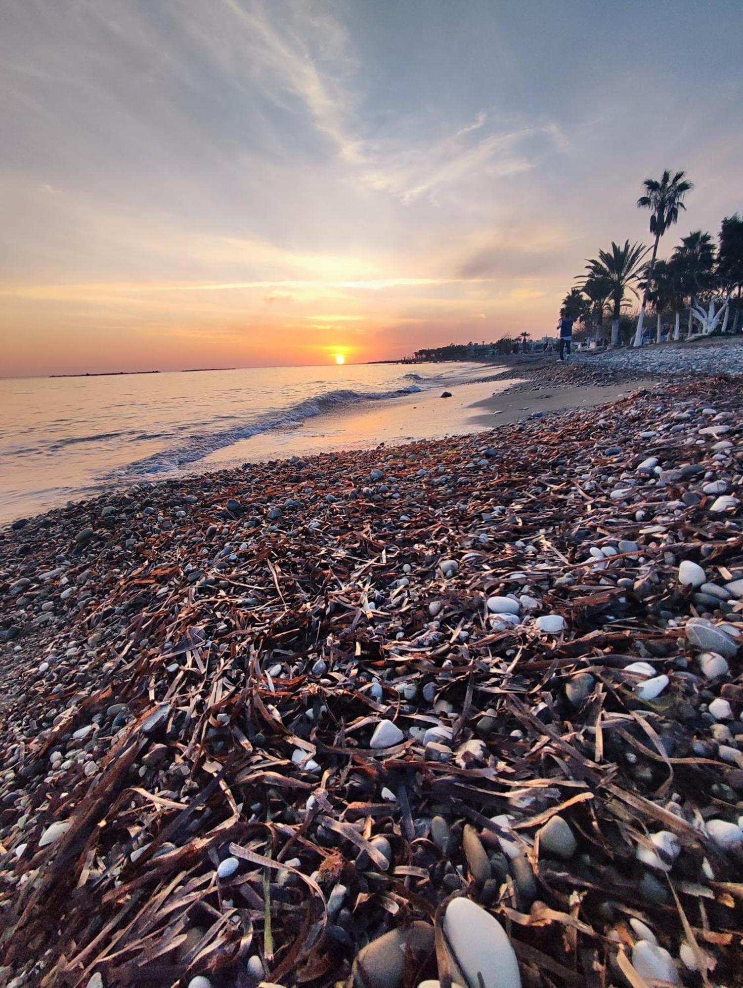 Marina Gardens Leilighet Paphos Eksteriør bilde